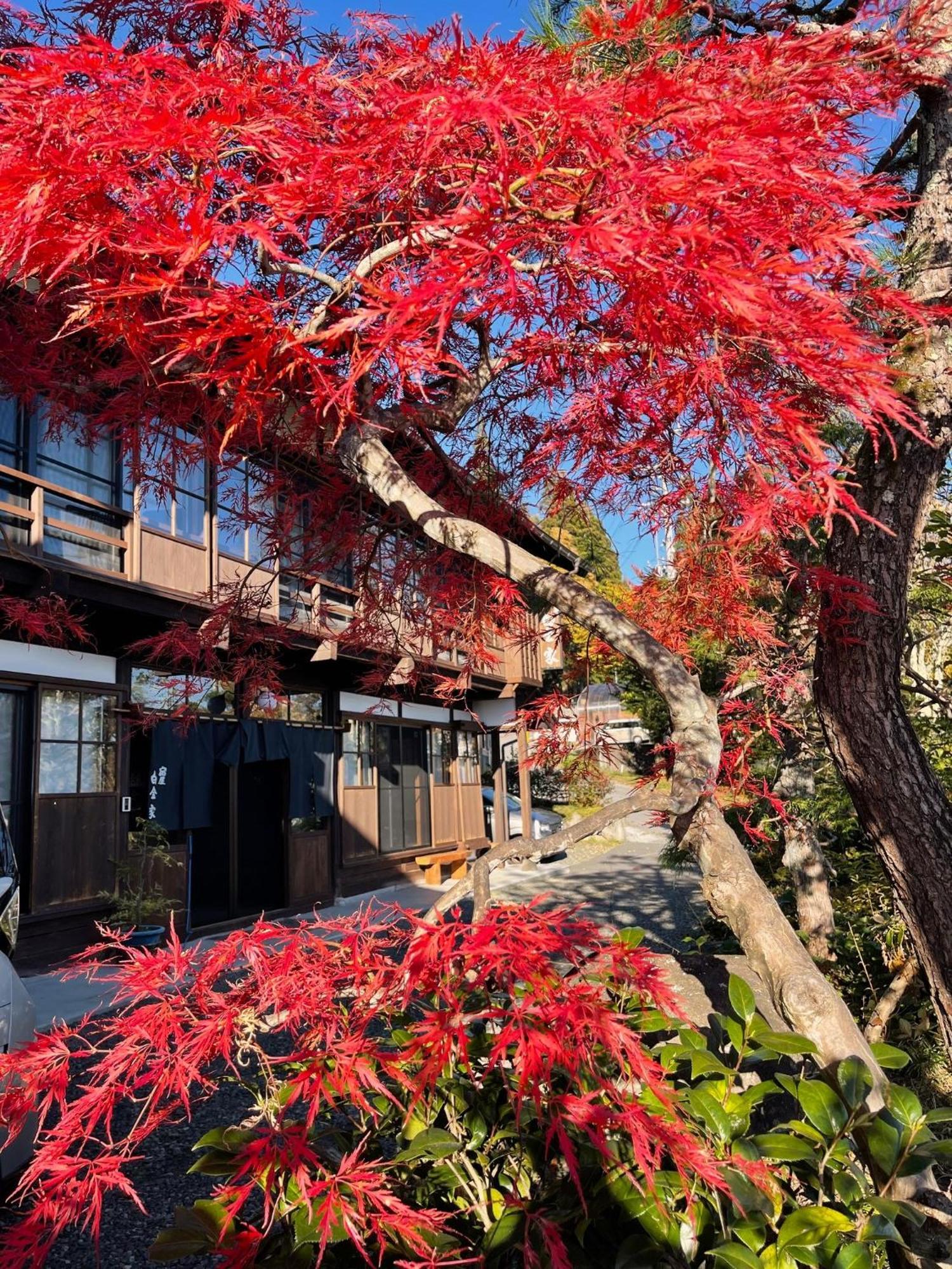 宿屋白金家: Traditional Ryokan Experience Nagano Exterior photo